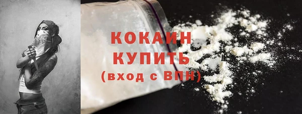 гашик Вязьма