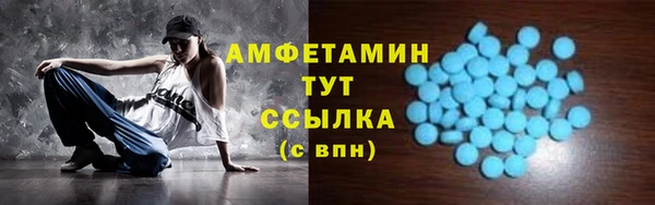гашик Вязьма