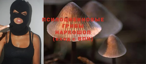 хмурый Вяземский
