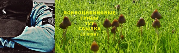 гашик Вязьма