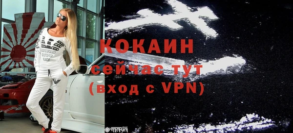 хмурый Вяземский