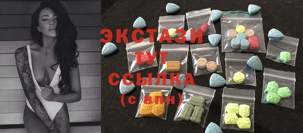 гашик Вязьма
