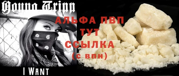 гашик Вязьма