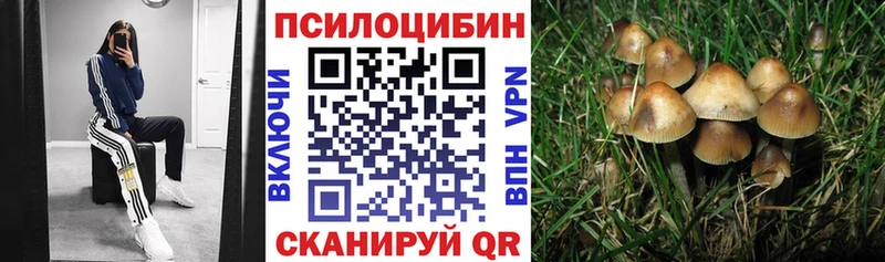 Псилоцибиновые грибы прущие грибы  Оха 